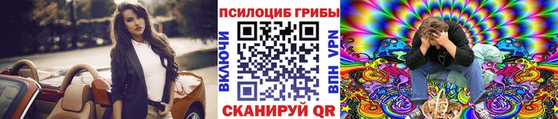 купить  сайты  Нерехта  Псилоцибиновые грибы мухоморы 